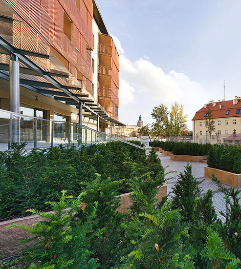 mieszkanie Wrocław